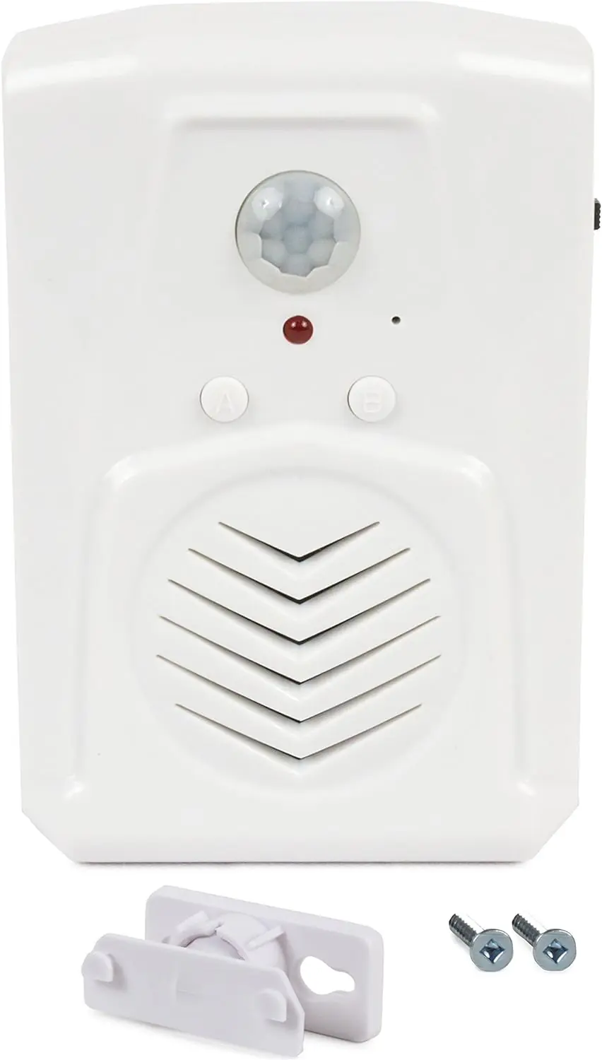 Voice-Activated Assistant